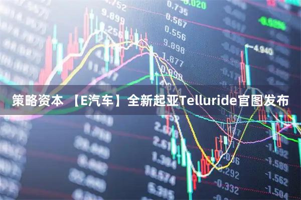 策略资本 【E汽车】全新起亚Telluride官图发布