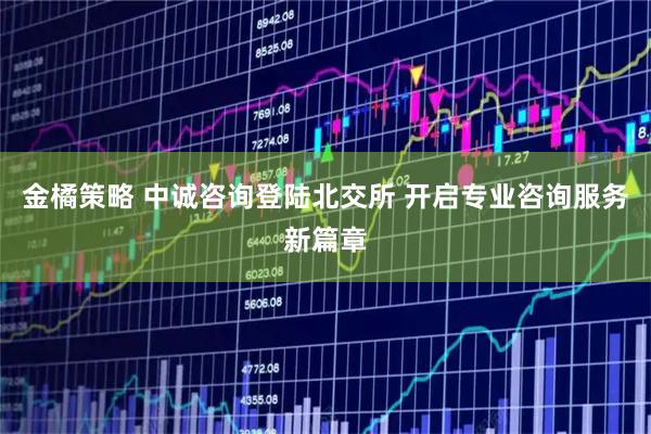 金橘策略 中诚咨询登陆北交所 开启专业咨询服务新篇章