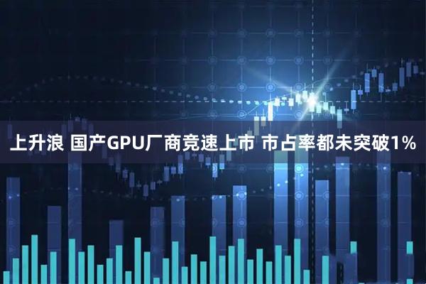 上升浪 国产GPU厂商竞速上市 市占率都未突破1%