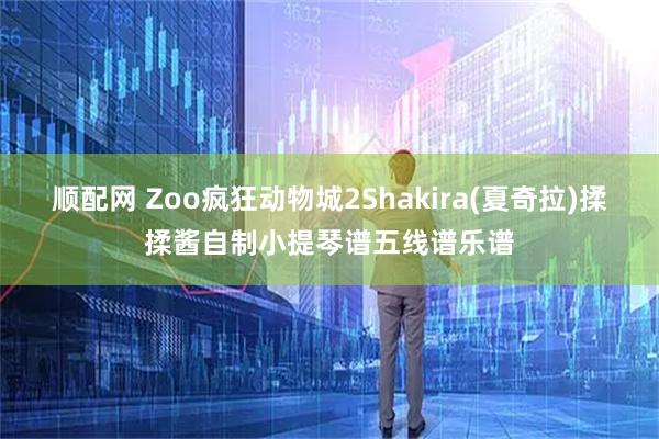 顺配网 Zoo疯狂动物城2Shakira(夏奇拉)揉揉酱自制小提琴谱五线谱乐谱