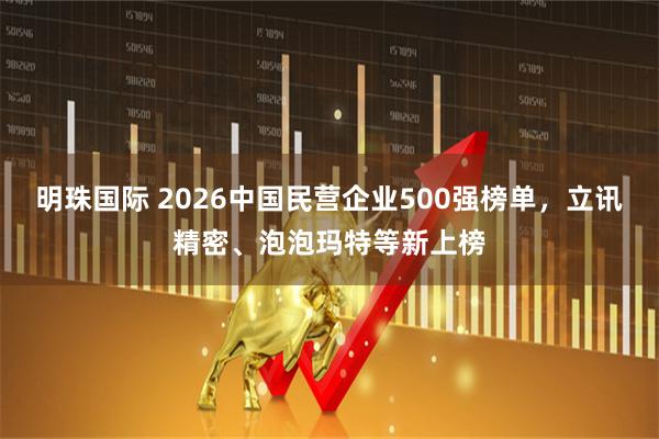 明珠国际 2026中国民营企业500强榜单,立讯精密、泡泡玛特等新上榜